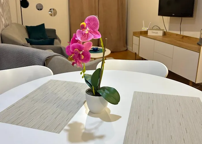 Point Apartment Podgorica